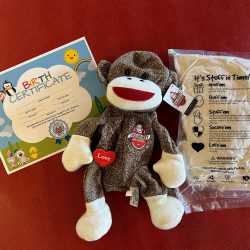 Sock Monkey Museum - Custom Sock Monkey Unstuffed